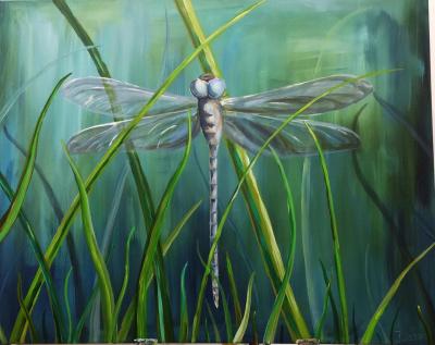 dragon-fly in the grass